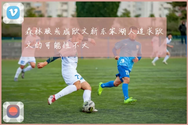 森林狼或成欧文新东家湖人追求欧文的可能性不大